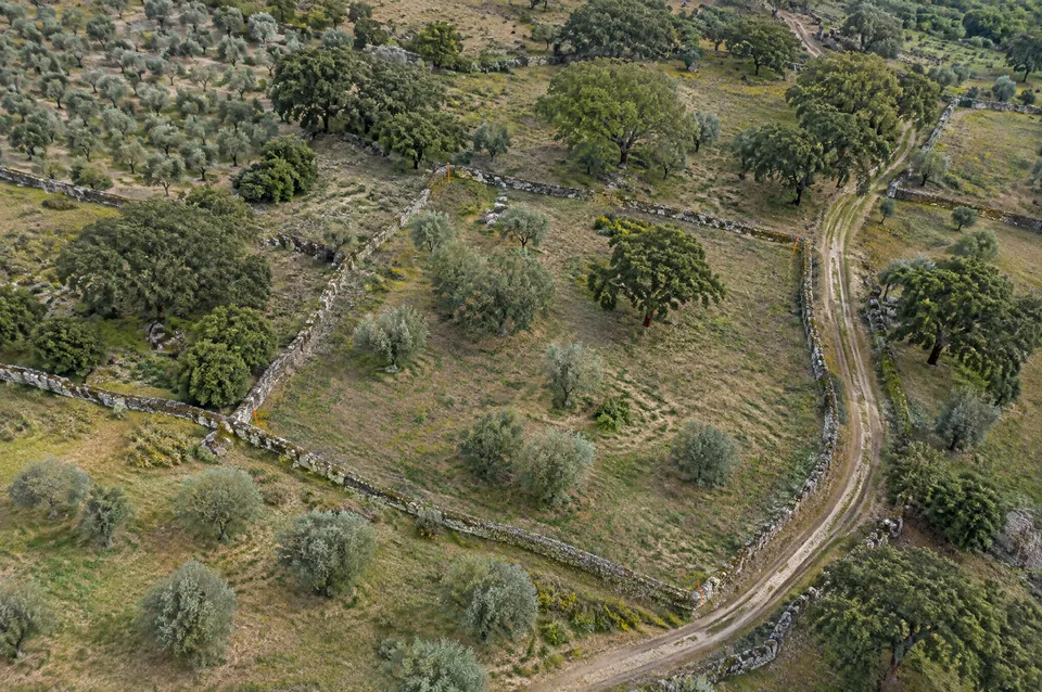 Illustration : parcelles rurales au Portugal d&eacute;limit&eacute;es par des murets de pierre